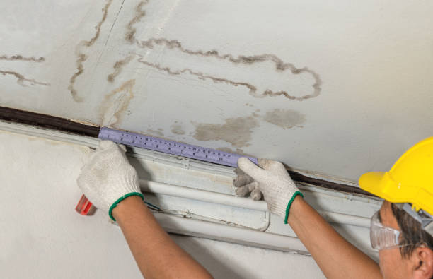 Reliable Burst Pipe Cleanup contractor in Vantage, WA by Water Damage Irwin